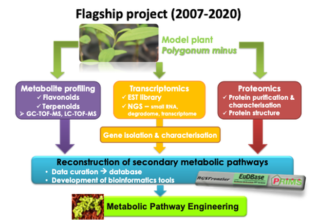 Systems to synthetic biology research framework of kesumPicture