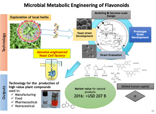 Microbial Metabolic Engineering of Flavonoids